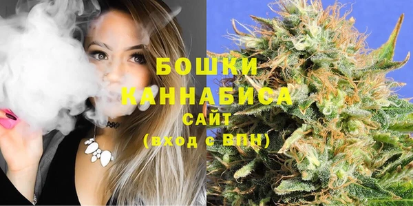 гашик Кулебаки